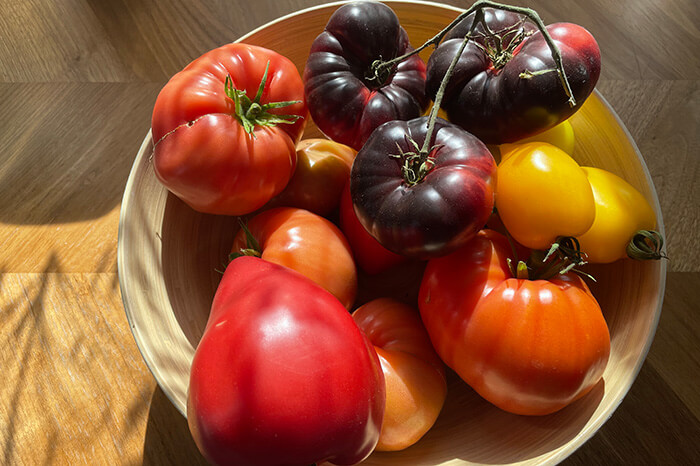 Mehr Tomaten mit SOLIDWORKS